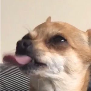 Meet your Posher, Kristal